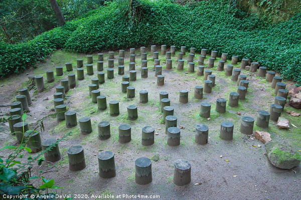 Forest Labyrinths Picture Board by Angelo DeVal
