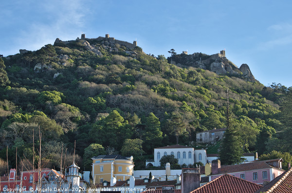 Castelo dos Mouros and Rooftops in Sintra Picture Board by Angelo DeVal
