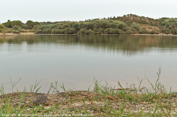 Peaceful view in Povoa e Meadas Dam Picture Board by Angelo DeVal