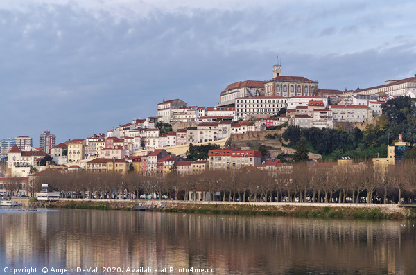 Coimbra city river view Picture Board by Angelo DeVal