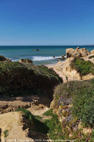 Cliffs, bushes and sea in Algarve Picture Board by Angelo DeVal
