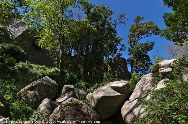 Castle of the Moors wall hidden by trees in Sintra Picture Board by Angelo DeVal