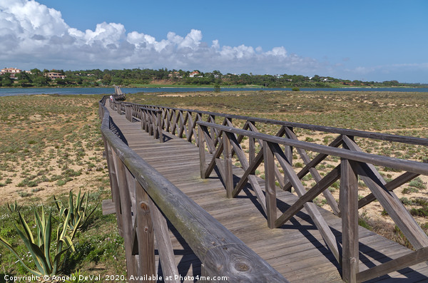 Long wooden bridge of Quinta do Lago Picture Board by Angelo DeVal