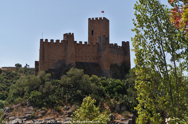 Templar Castle of Almourol Picture Board by Angelo DeVal