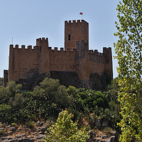 Buy canvas prints of Templar Castle of Almourol by Angelo DeVal