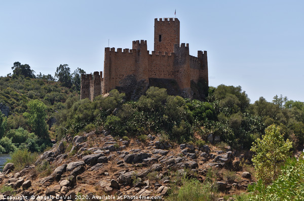 Templar Medieval Castle of Almourol Picture Board by Angelo DeVal