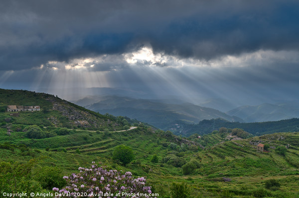 Sunrays over Monchique valley Picture Board by Angelo DeVal
