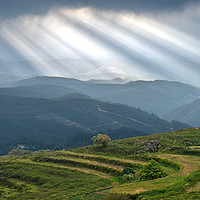 Buy canvas prints of Sunrays over little trees and hill in Monchique by Angelo DeVal