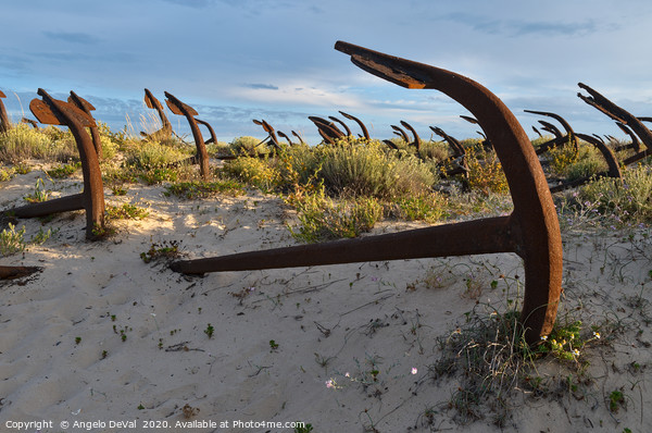 Anchors and sunset in Barril beach Picture Board by Angelo DeVal