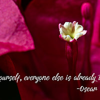 Buy canvas prints of Be yourself, everyone else is already taken by Angelo DeVal