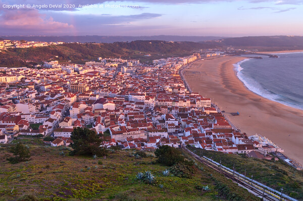 Nazare overview at sunset Picture Board by Angelo DeVal