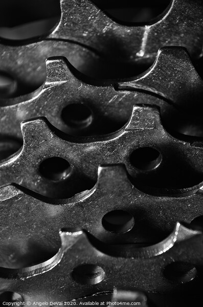 Bicycle Gears in Monochrome Picture Board by Angelo DeVal