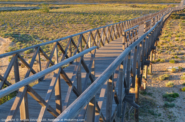 View of the wooden bridge in Quinta do Lago Picture Board by Angelo DeVal