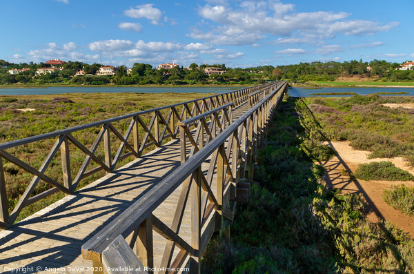 Sunny day and wooden bridge of Quinta do Lago Picture Board by Angelo DeVal