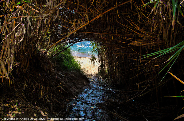 Engardaceira Beach Tunnel Picture Board by Angelo DeVal