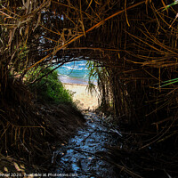 Buy canvas prints of Engardaceira Beach Tunnel by Angelo DeVal