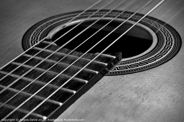 Classic Guitar in Monochrome Picture Board by Angelo DeVal