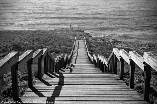 Stairway to Sea in Aljezur in Monochrome Picture Board by Angelo DeVal