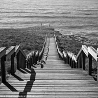 Buy canvas prints of Stairway to Sea in Aljezur in Monochrome by Angelo DeVal