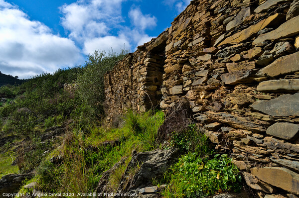 Ruins of a schist cottage in Alentejo Picture Board by Angelo DeVal