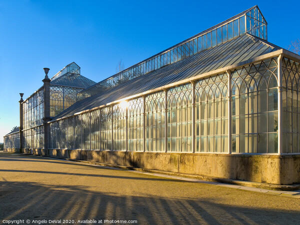 Greenhouse in the Botanical Garden of the University of Coimbra Picture Board by Angelo DeVal