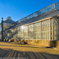 Buy canvas prints of Greenhouse in the Botanical Garden of the University of Coimbra by Angelo DeVal