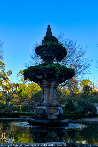 Fountain in the Botanical Garden of the University of Coimbra Picture Board by Angelo DeVal