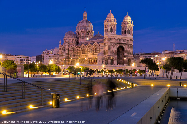 La Major Cathedral in Marseille at Night Picture Board by Angelo DeVal