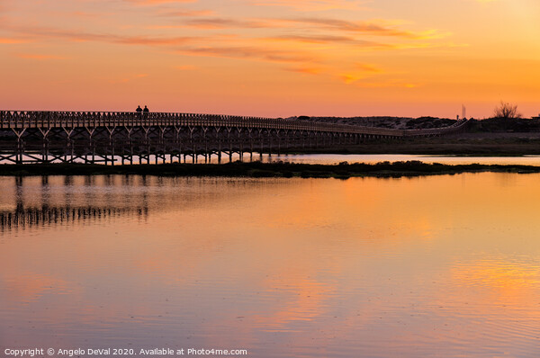 Wooden Bridge and Twilight - Quinta do Lago Picture Board by Angelo DeVal