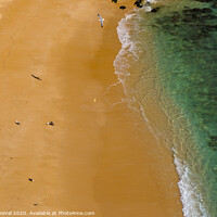 Buy canvas prints of Seagulls in Praia Deserta by Angelo DeVal