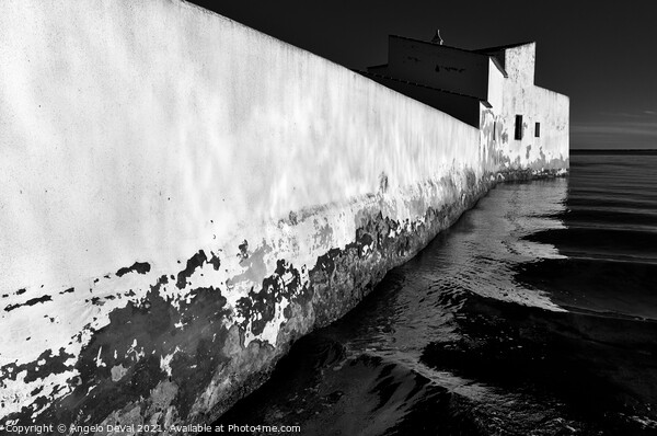 Tidal Mill Wall in Olhao Picture Board by Angelo DeVal