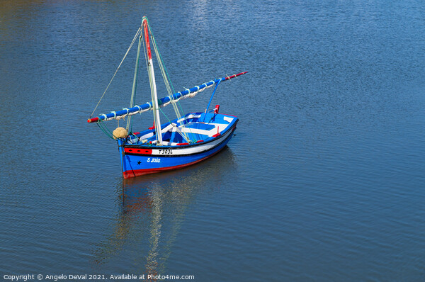 Traditional Fishing Sailboat in Tavira Picture Board by Angelo DeVal