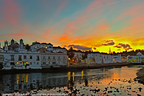 Sunset from Tavira Antique Bridge Picture Board by Angelo DeVal