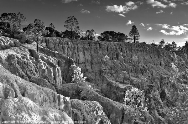 Cliff Wall and Forest in Algarve Picture Board by Angelo DeVal