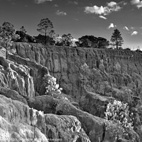 Buy canvas prints of Cliff Wall and Forest in Algarve by Angelo DeVal