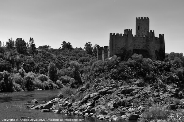 Knights Templar Castle of Almourol Picture Board by Angelo DeVal