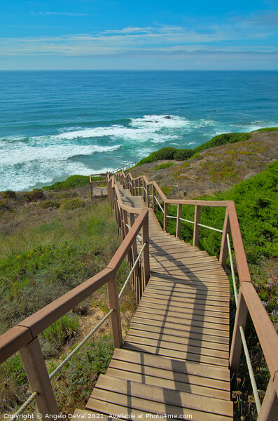 Walkway to Sea in Costa Vicentina Picture Board by Angelo DeVal