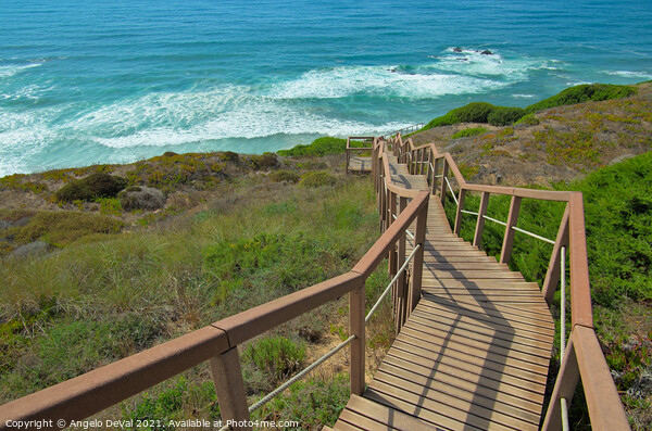 Walkway to the Sea in Costa Vicentina Picture Board by Angelo DeVal