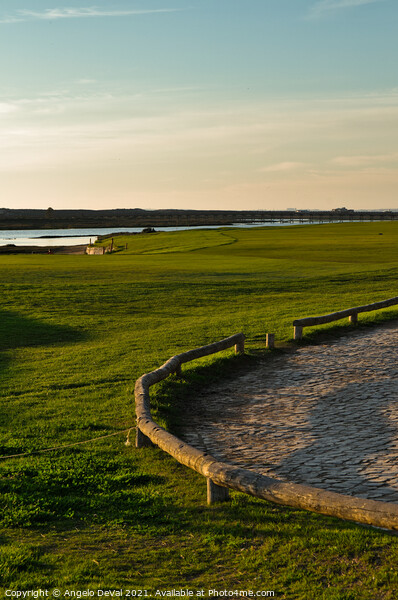 Quinta do Lago Golf Course Before Sunset Picture Board by Angelo DeVal