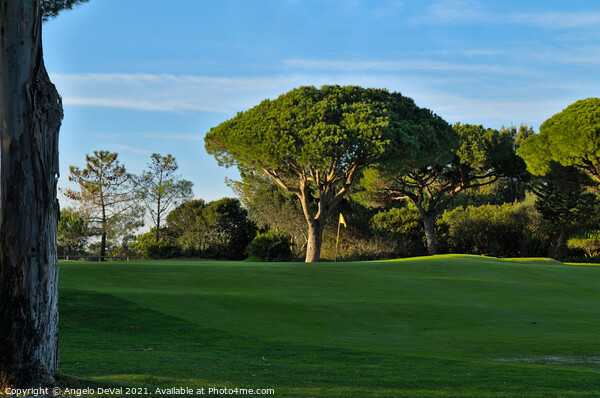 Peaceful Golf Course in Quinta do Lago Picture Board by Angelo DeVal