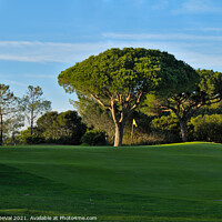 Buy canvas prints of Peaceful Golf Course in Quinta do Lago by Angelo DeVal