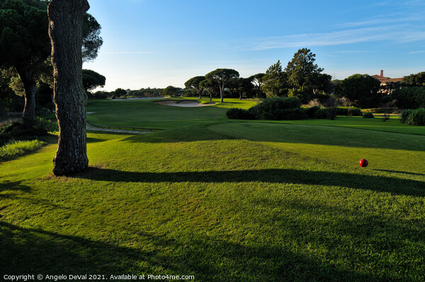 Grassy Golf Fields of Quinta do Lago Picture Board by Angelo DeVal