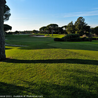 Buy canvas prints of Grassy Golf Fields of Quinta do Lago by Angelo DeVal
