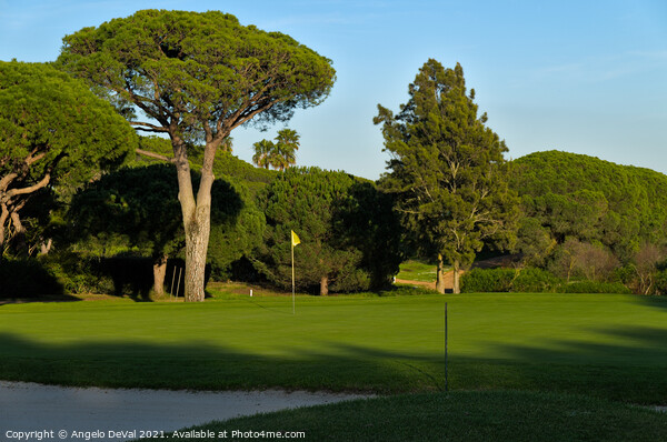 Trees and grassy Golf Course of Quinta do Lago Picture Board by Angelo DeVal