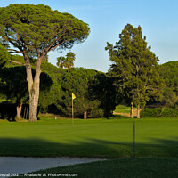 Buy canvas prints of Trees and grassy Golf Course of Quinta do Lago by Angelo DeVal