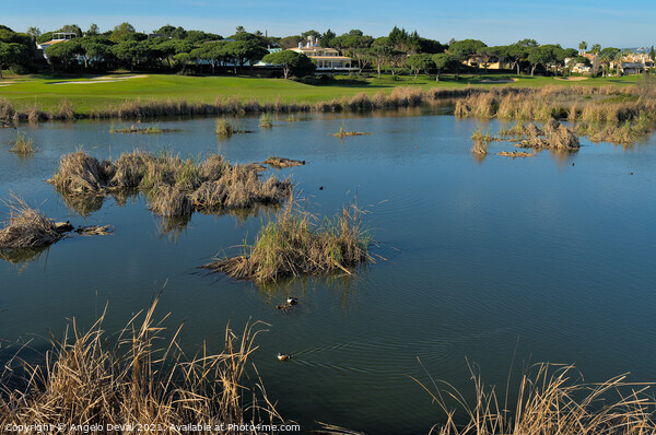 There is a Lake in Quinta do Lago Picture Board by Angelo DeVal