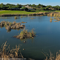 Buy canvas prints of There is a Lake in Quinta do Lago by Angelo DeVal