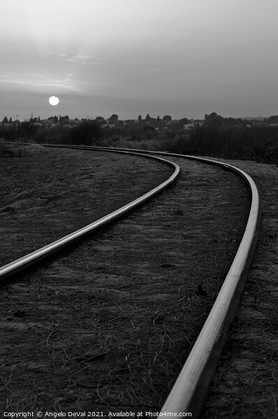 Monochrome Train Tracks in Barril Picture Board by Angelo DeVal