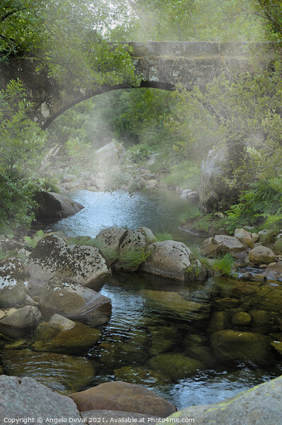 Ancient bridge and fog in Carvalhais Picture Board by Angelo DeVal