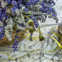 Buy canvas prints of Lavender by Beata Aldridge